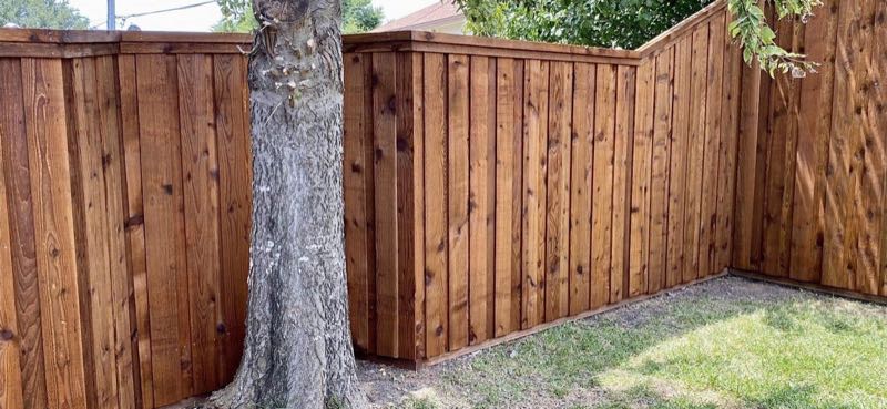 Cedar Privacy Fence in Denton